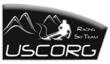 logo ski