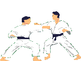 Visitez la section JUDO !!!