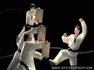 Visitez la section TAE KWON DOE !!!